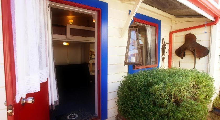 Stables Lodge Backpackers Napier Exterior foto