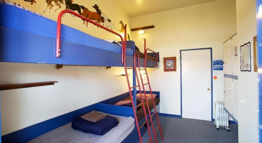 Stables Lodge Backpackers Napier Exterior foto